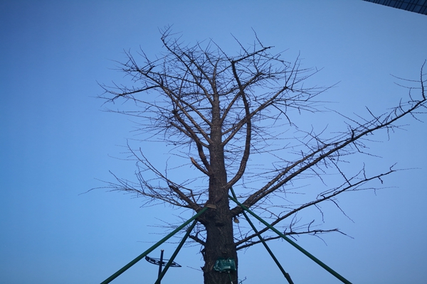 提“氣”質(zhì)丨打造2.0版本，實(shí)現(xiàn)“大數(shù)據(jù)”精準(zhǔn)治污